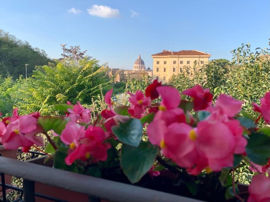 Rosa San Pietro Apartment Rom